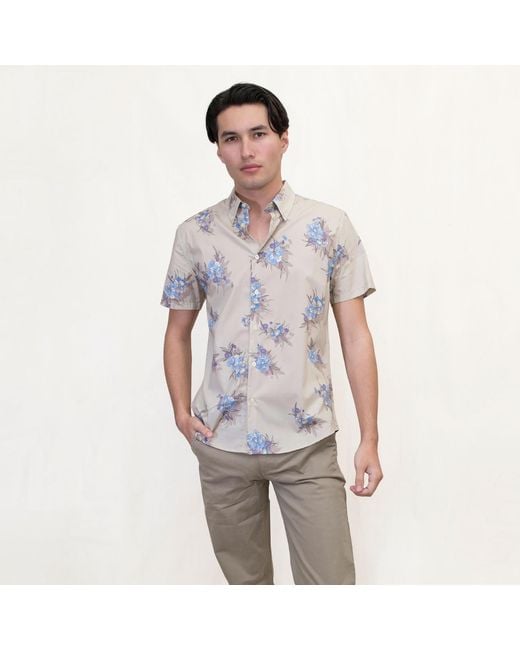 Lords of Harlech Gray Tim Oxford Harmony Shirt for men