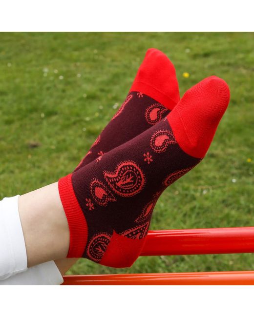Peper Harow - Made in England Red Paisley Trainer Socks – Burgundy
