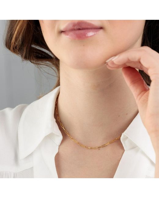 Lily Charmed Metallic Plated Box Link Chain Necklace