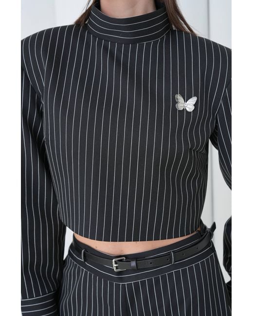 Lumina Eligma Black The Pinstripe Architect Set