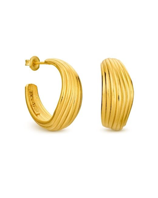 Joidart Metallic Golden Hoop Earrings Onaria