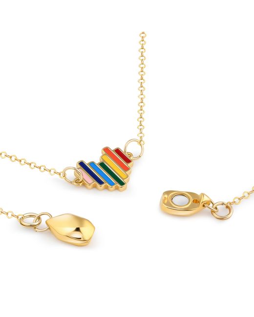 Rejected Hearts Club Metallic Prideful Heart Charm Filled Necklace With Magnetic Clasp