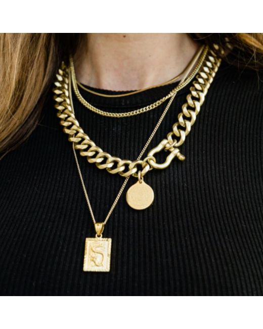 Rachel Nathan Metallic Shackle: Classic & All Knowing Necklace