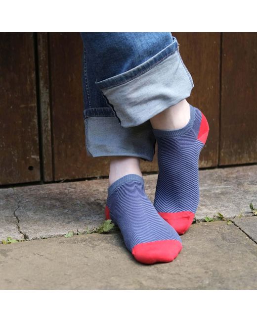 Peper Harow - Made in England Blue Trainer Socks Bundle – Seven Pairs Lux Taylor for men