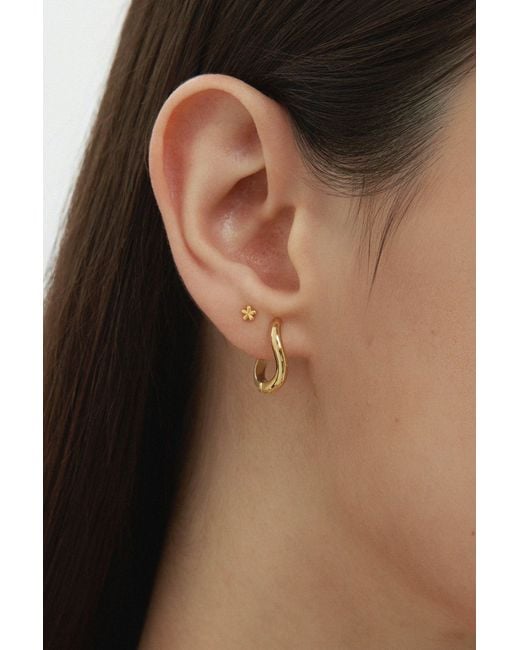 Vanhi Metallic Nori Twisted Hoop Earrings