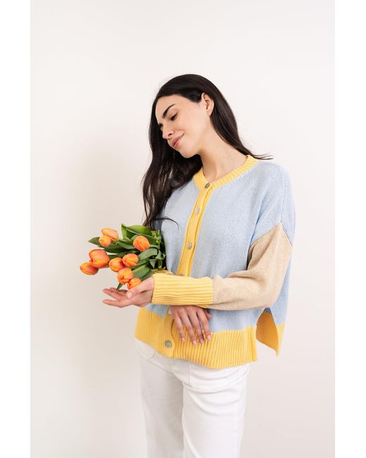 Mind Traveler Blue Sky, & Colour-Block Leti Cardigan