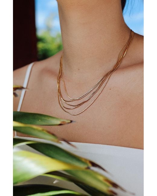 Adriana Pappas Designs Metallic Five Layer Chain Necklace