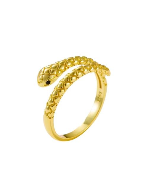 Nazzar Metallic Snake Wrap Ring