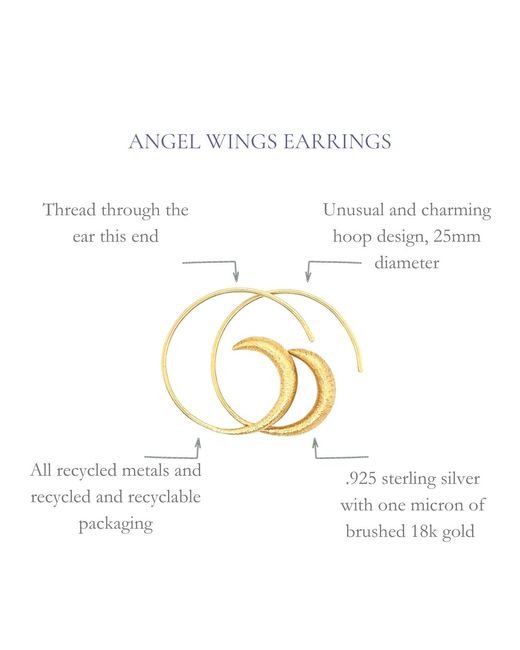 GEM BAZAAR Metallic Angel Wings
