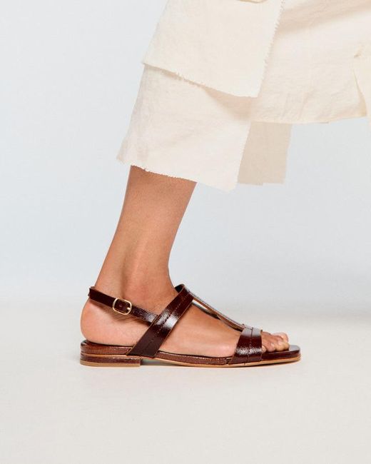 Naguisa Brown Altea Gloss