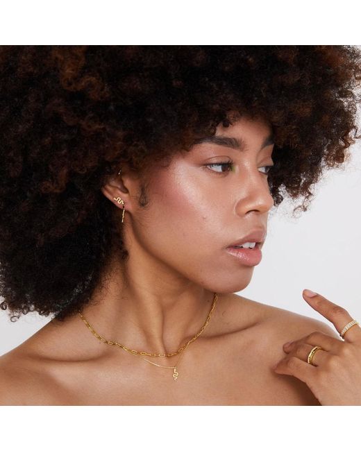 Bermuda Watch Company Metallic Annie Apple Rio Sterling Silver, Gold Vermeil Winding Snake Pendant Charm Necklace