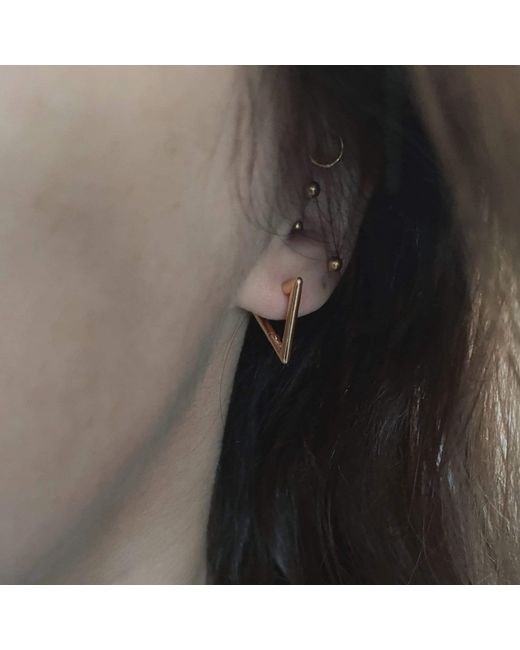 IN CAUDA VENENUM Metallic Delta Earrings