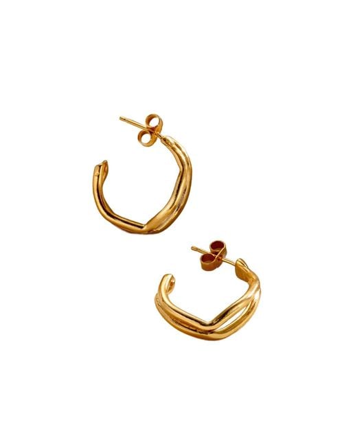Posh Totty Designs Metallic Delta Plated Open Hoop Earrings