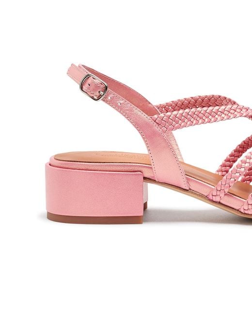 Naguisa Pink Raco Nacar Low