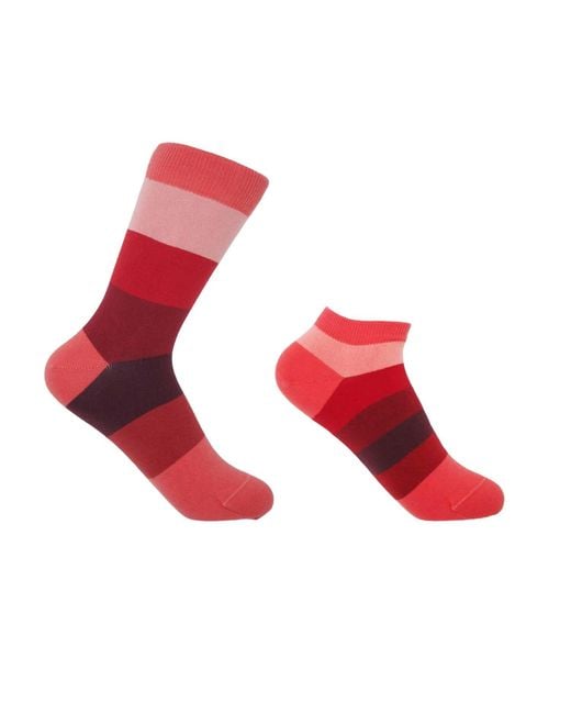 Peper Harow - Made in England Red Block Stripe Fire Luxury Crew & Trainer Socks Bundle