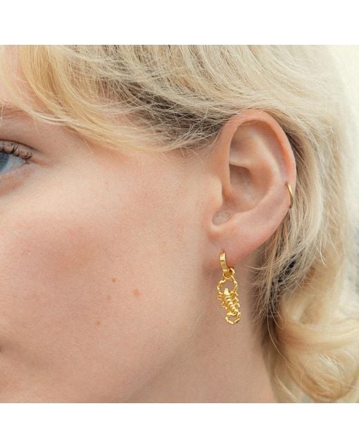Shaded the Label Metallic Scorpion Sterling Droplet Huggie Hoop Earrings