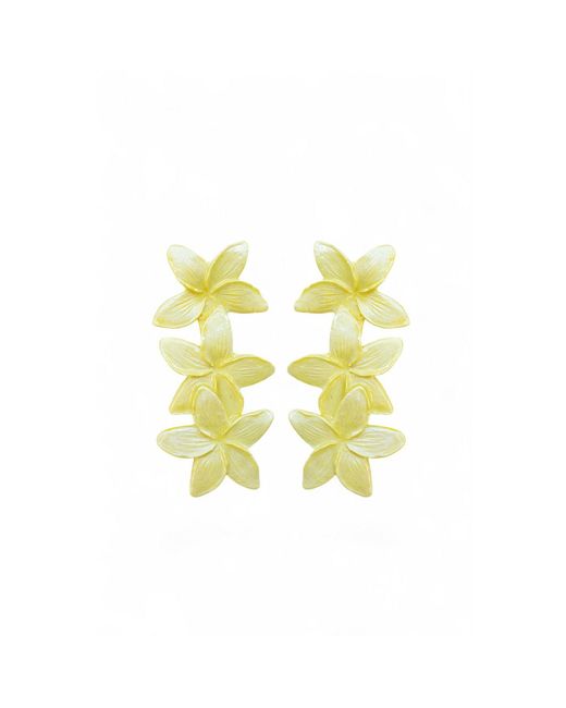 Sunset Magic Studio Yellow Coco Colada