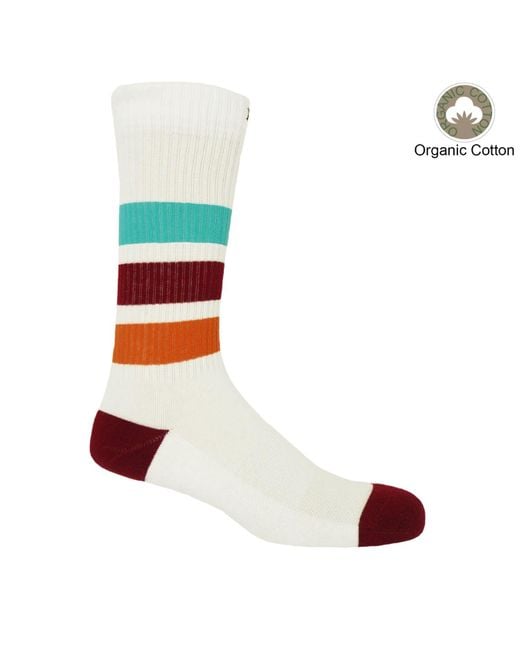 Peper Harow - Made in England Blue Organic Socks Bundle – for men
