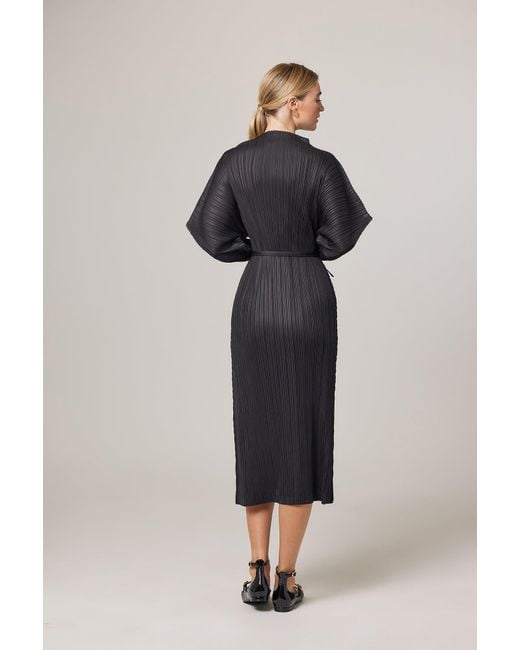 Wild Cosmos Black Hera Plissé Satin Sculpture Dress