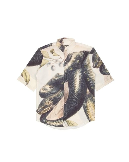 mysimplicated Blue Short Sleeve Shirt for men