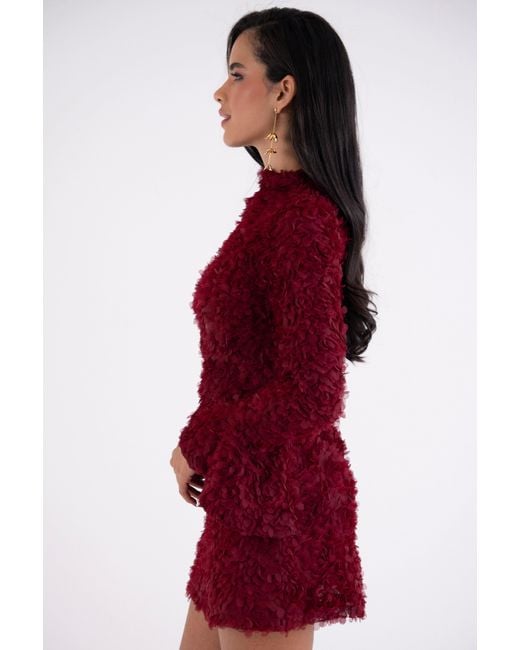 Amy Lynn Delphine Burgundy 3D Floral Textured Mini Dress