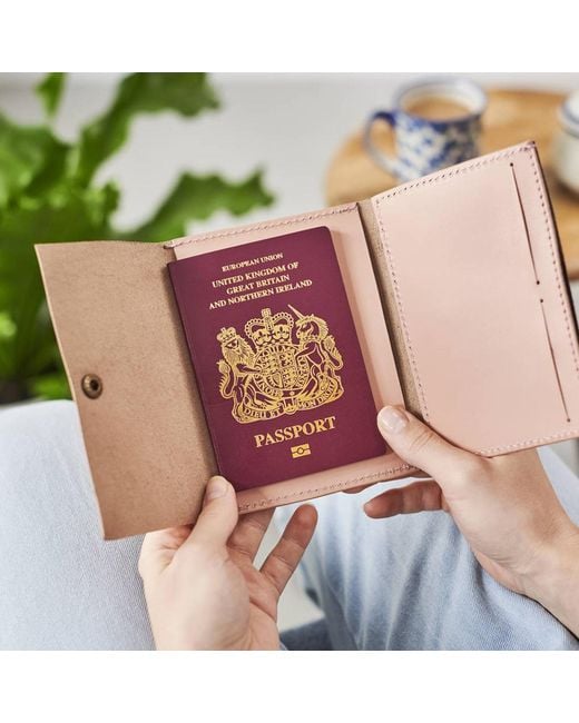 VIDA VIDA Brown Vida Blush Leather Passport Holder