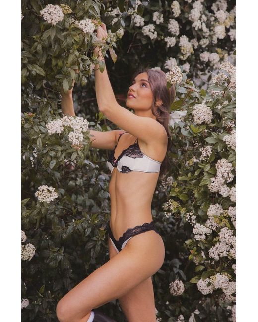 Wild Lovers Black Esme Brief