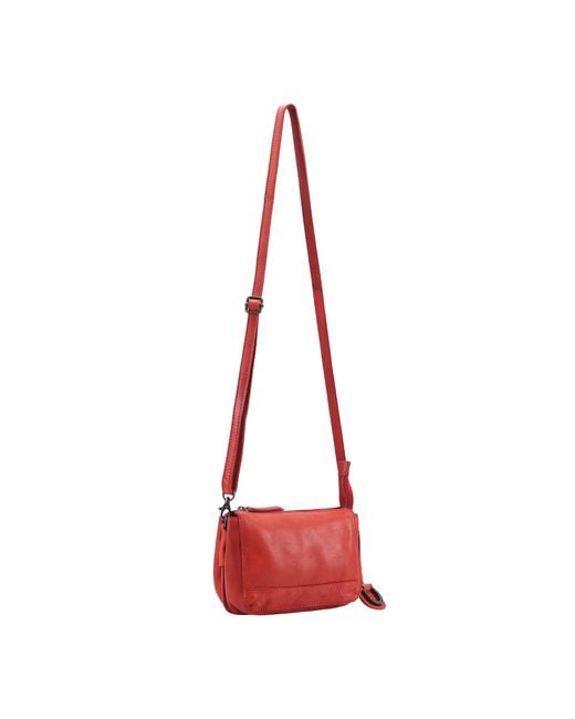 Lloyd Baker Red Flora