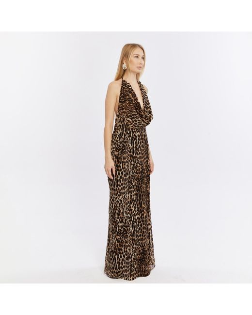 Herfetch Brown Maxi Exotic Dress