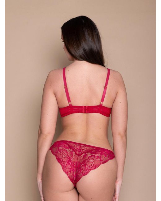BonBon Lingerie Rosabella Underwired Bra