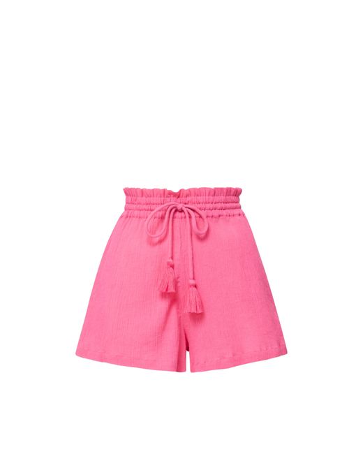 Change of Scenery Pink Vicki Shorts
