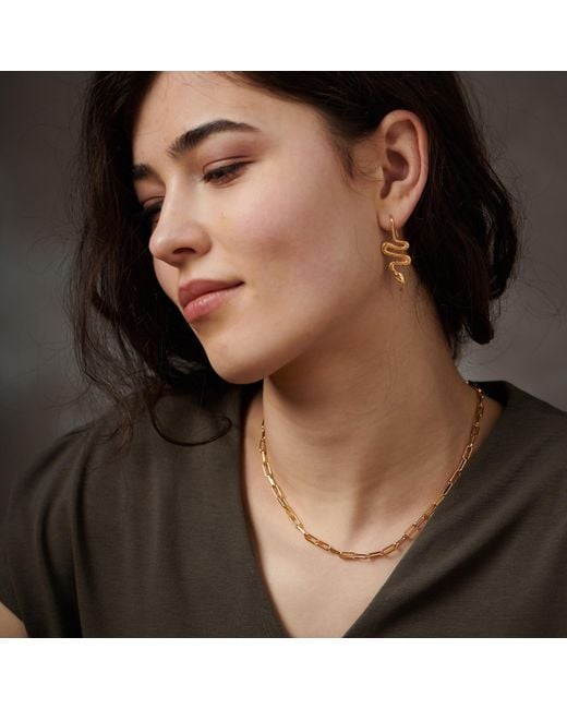 Janus Edinburgh Metallic 18K Vermeil Heka Chain Necklace
