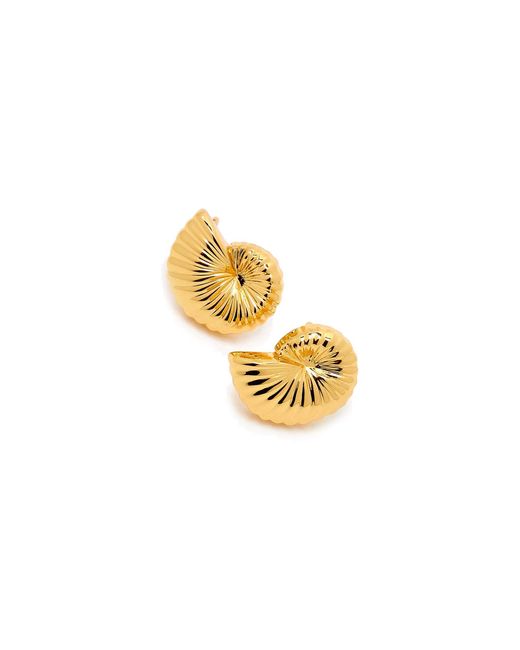 Potoska Metallic Moro Midi Shell Stud Earrings