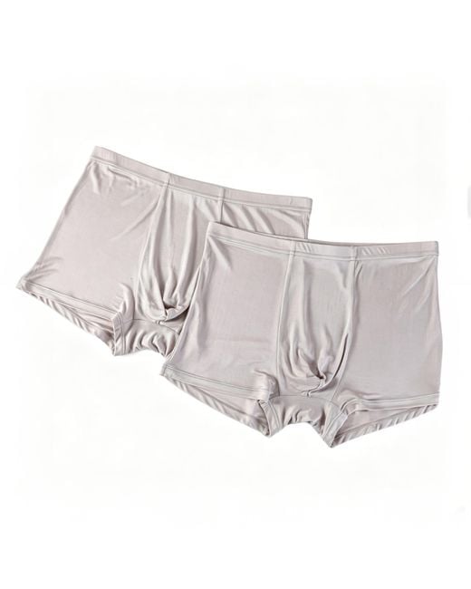 Soft Strokes Silk Gray Set Of Two Knitted Silk Trunks for men