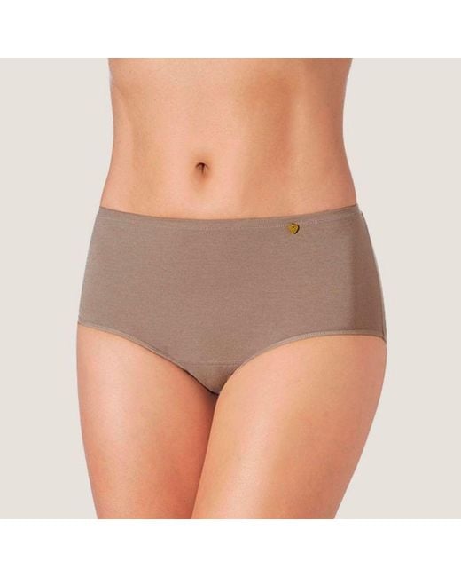 Zd - Zero Defects Gray Atenea High-Waist Brief – Stylisht Fit & Comfort With Soy Fiber