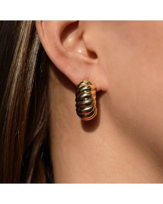 Argento Vivo Metallic Rowen Earring