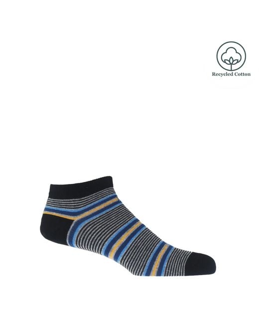 Peper Harow - Made in England Blue Trainer Socks Bundle for men