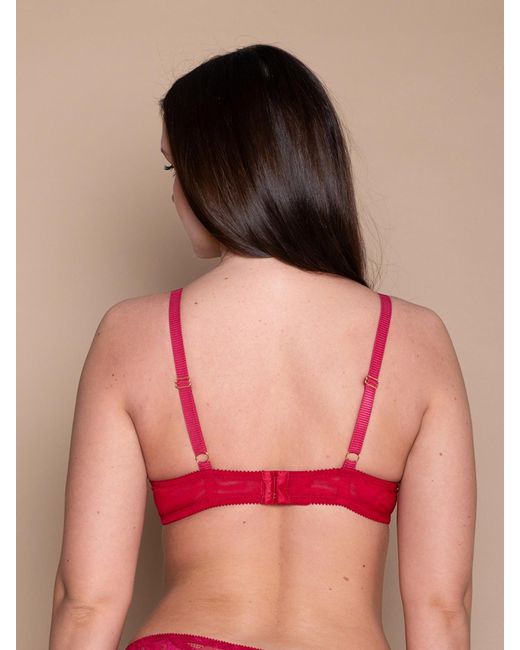 BonBon Lingerie Rosabella Underwired Bra