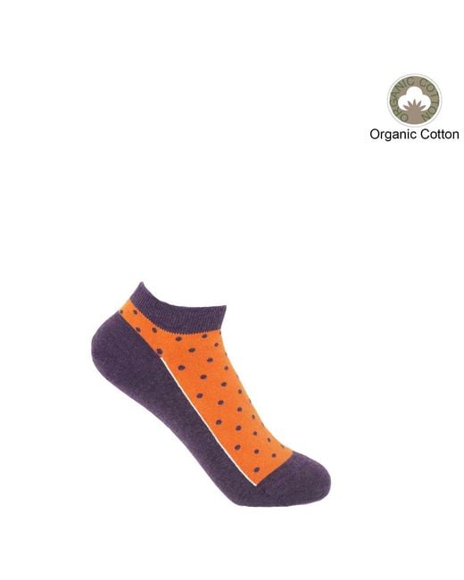 Peper Harow - Made in England Pink Pin Polka Burgundy Luxury Crew & Berry Trainer Socks Bundle