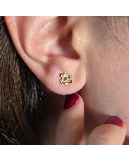 Harfi Metallic Aquamarine March Birthstone Daffodil Birthflower Plated Stud Earrings