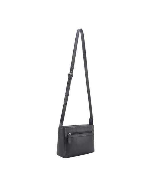 Lloyd Baker Black Primrose