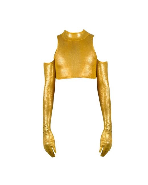 Paloma Lira Metallic Gloves Magic Crop Top