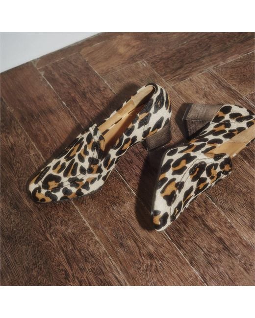 Mariano Shoes Brown Alfama Pump Leopard