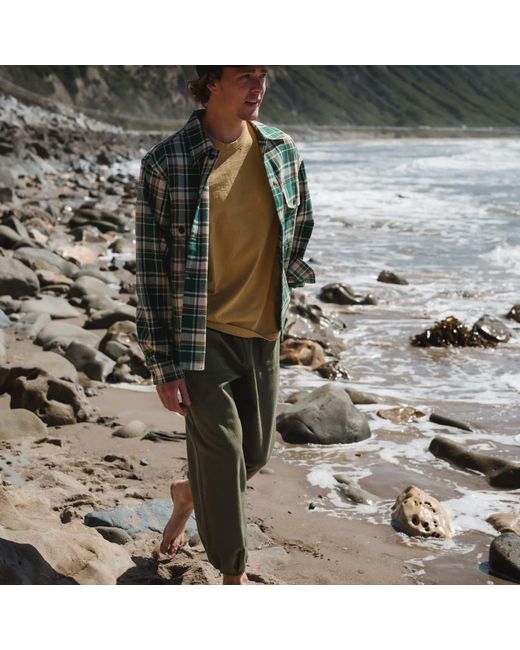 Ariko Green Day Pants