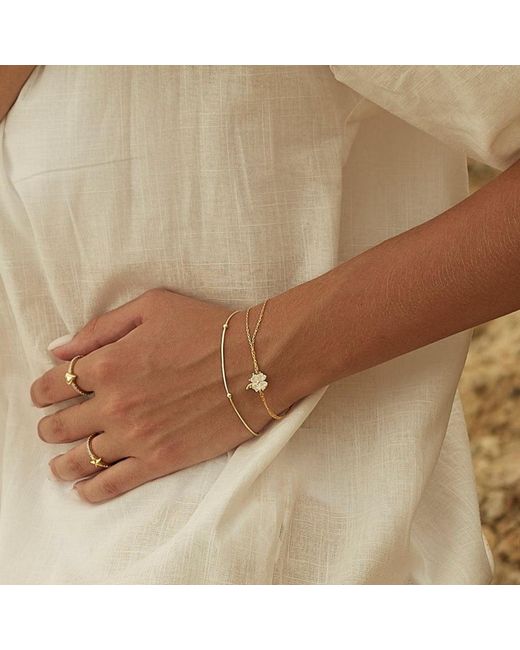 Spero London Metallic Clover Bracelet & Italian Bead Chain Bracelet Layering Set