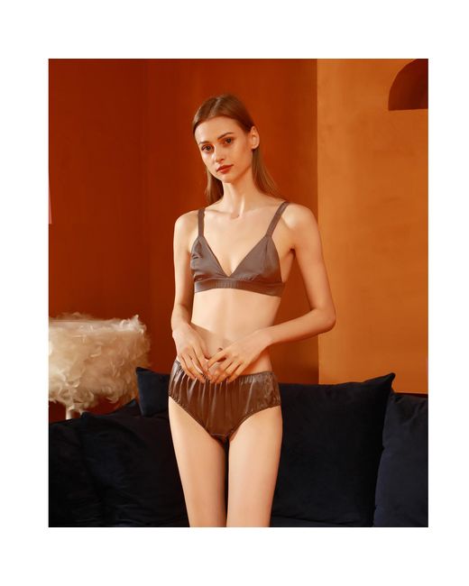 Soft Strokes Silk Brown Set Of Two Pure Mulberry Silk Bikini Pantie