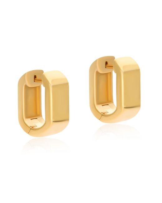 Preeti Sandhu Metallic Chubby Link Hoop