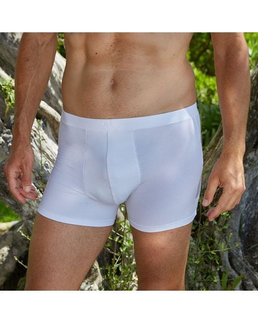 Zd - Zero Defects Gray Breno Organic Cotton Boxers for men