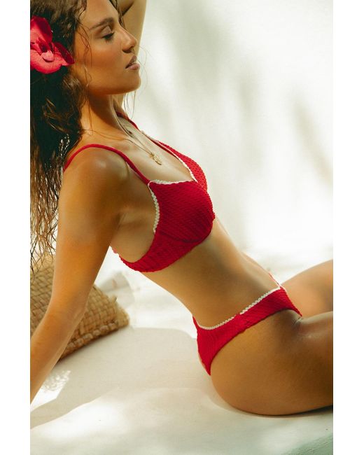 Wild Lovers Red Chilli Bikini Top