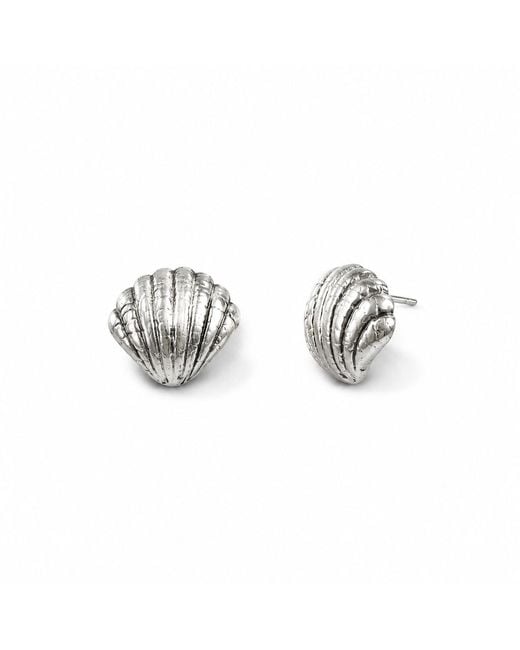Gold & Honey Metallic Textured Seashell Stud Earrings